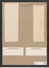 Rhoicosigma compactum (Grev.) Grun. (de-Toni-Nr.: Genus 15, Species 1125) Zeichnungen Sammlung Grunow Nr. 2213 (NHMW-BOT-W0369295)
